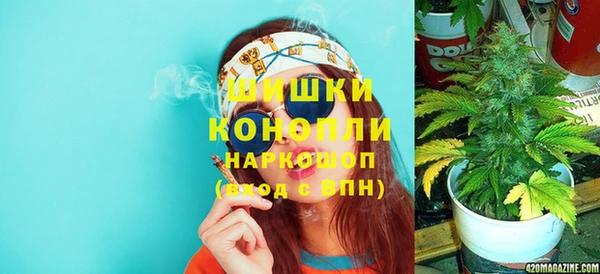 крисы Алзамай