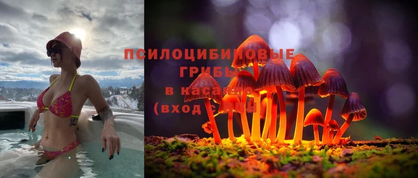крисы Алзамай