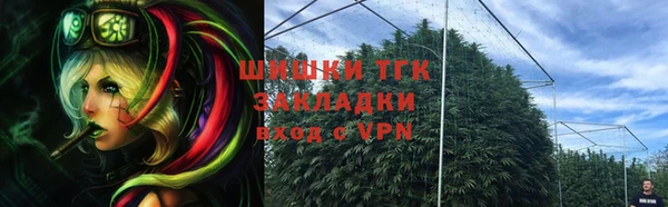 крисы Алзамай