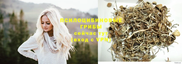 меф Алексин