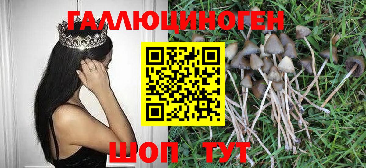Псилоцибиновые грибы GOLDEN TEACHER  Вход с VPN  Челябинск 