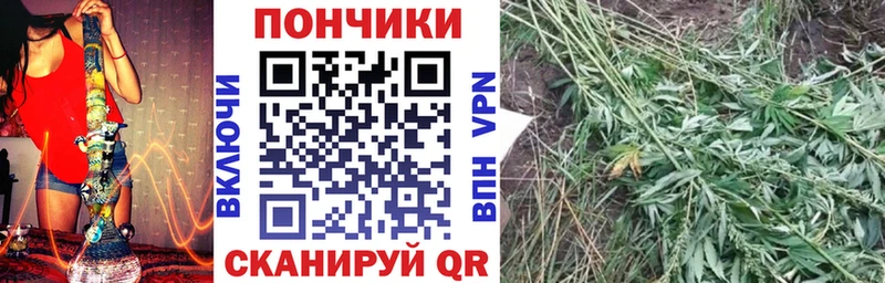 Бошки Шишки Ganja  цены наркотик  Челябинск 